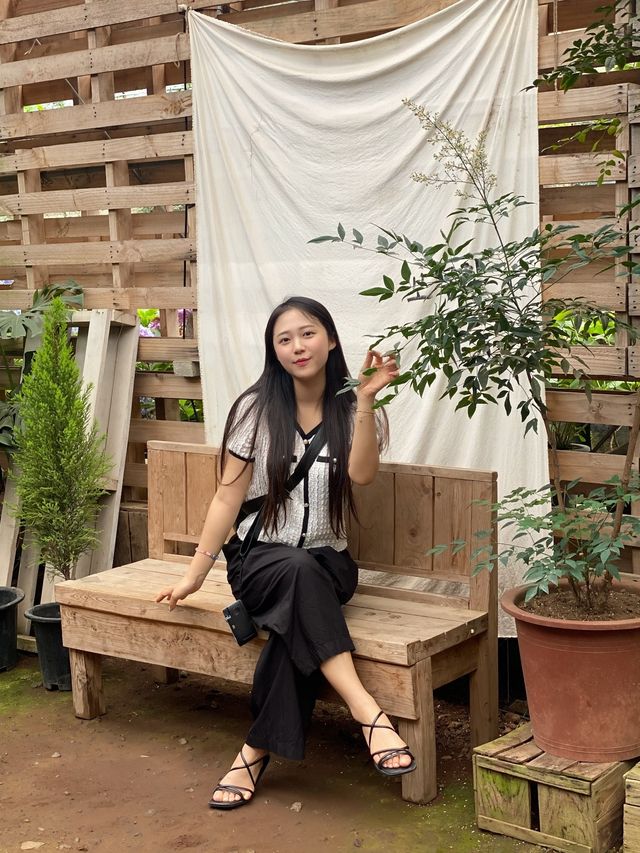 다양한 꽃들의 천국, 서귀포 보롬왓🌸🌼