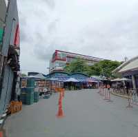 เดินตลาดต้นไม้ ตลาดนัดสวนจตุจักร
