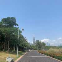 深圳綠化景點—深圳灣公園