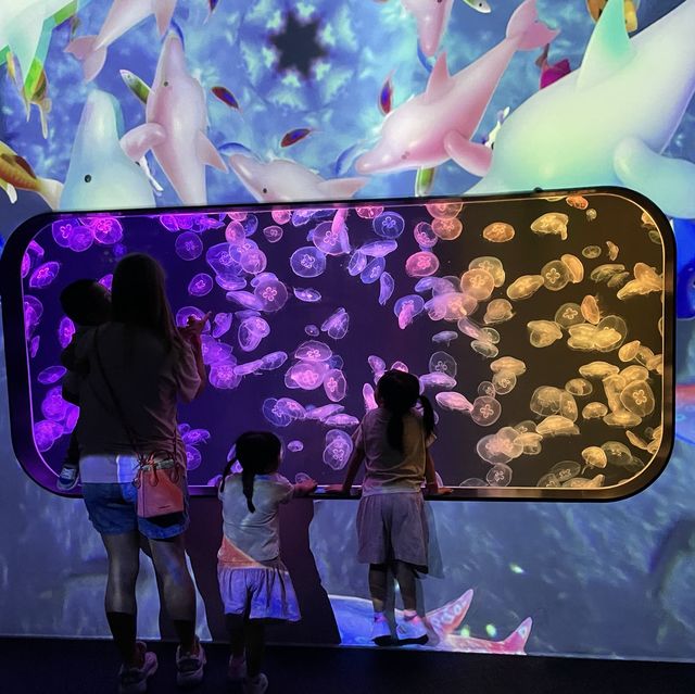 城市中的水母館 🪼 浩海立方·探遊館