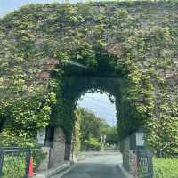 【兵庫県】ワイン好きなら一度は行きたい神戸ワイナリー