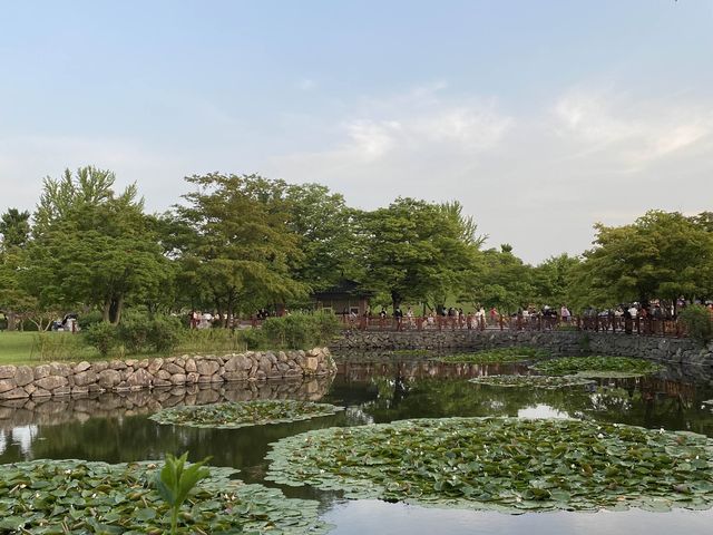 🇰🇷 경주 대릉원 나들이