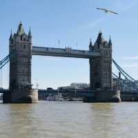 Tower bridge in London 🌉