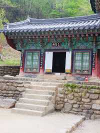 [Tradition Korean Culture]⭐️National Park⭐️