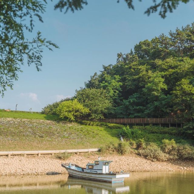 이국적인 부산 피크닉 스팟 용소 웰빙공원 