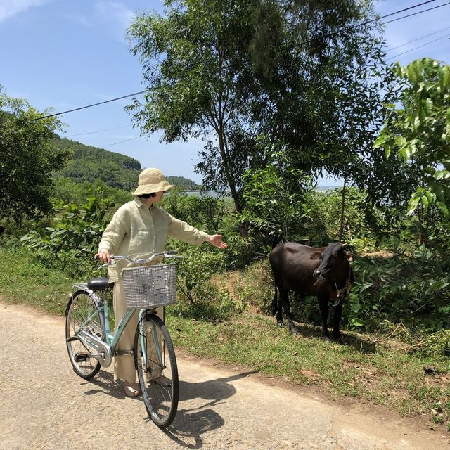 올인클루시브 리조트! 베다나 라군