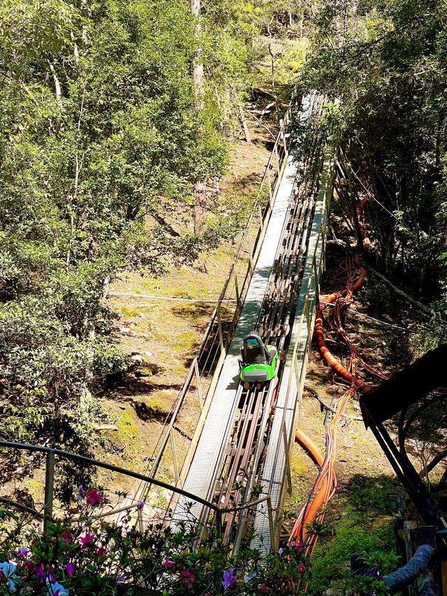 Trying The Longest Alpine Coaster In Asia🇻🇳