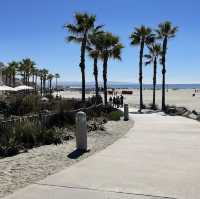 Beautiful Coronado Bench 