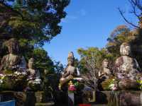【高知市】四国霊場第31番札所🙏