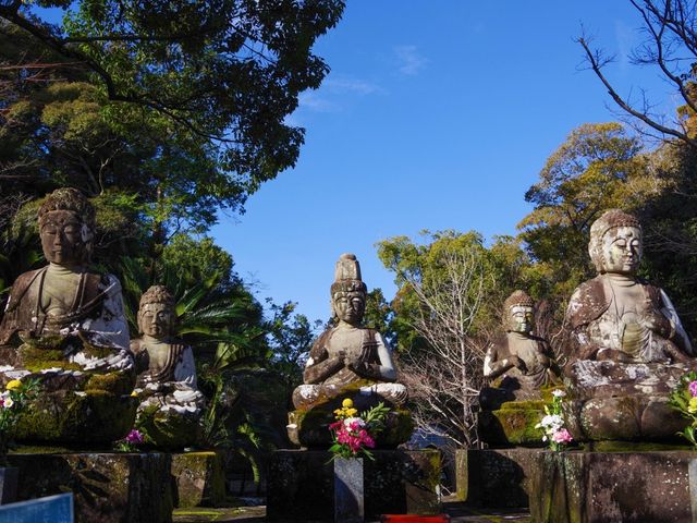 【高知市】四国霊場第31番札所🙏