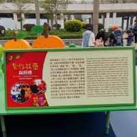 ✨兔來運轉~花燈喜迎春🐇✨