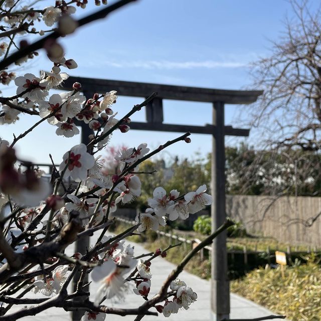 【福岡】博多駅利用の際は旅の安全祈願に