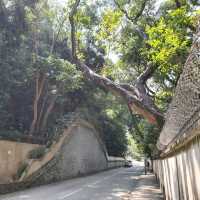青山公路18 3/4咪 加多利灣泳灘