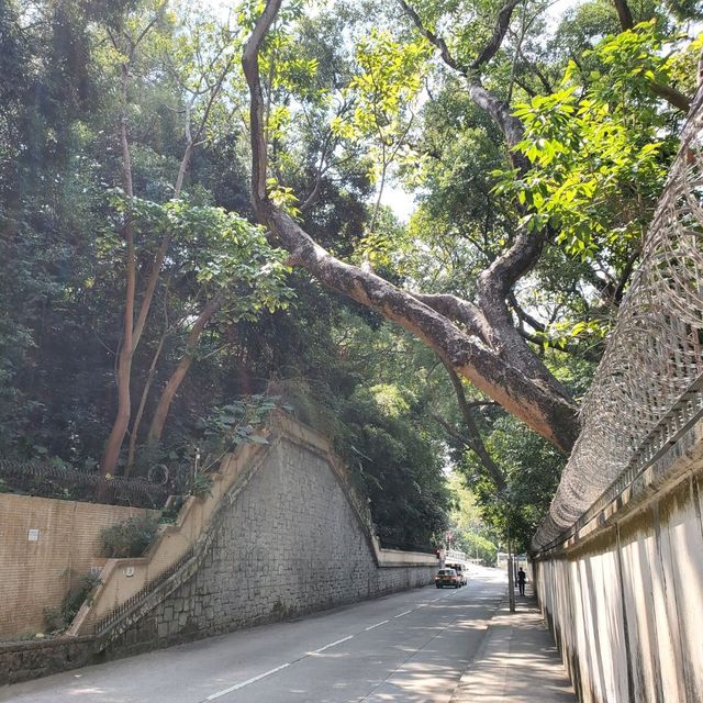 青山公路18 3/4咪 加多利灣泳灘
