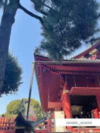 【東京 上野】桜の時期におすすめ🌸上野公園お散歩👣