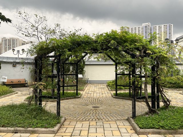 佔地廣闊設施齊全嘅沙田公園