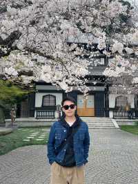 🇯🇵｜A day tour at Kamakura