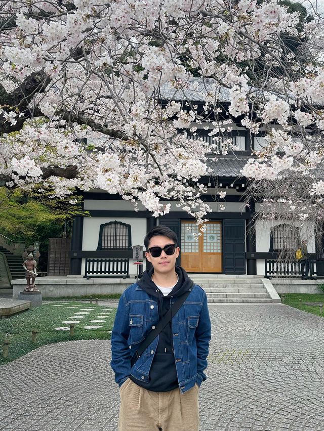 🇯🇵｜A day tour at Kamakura
