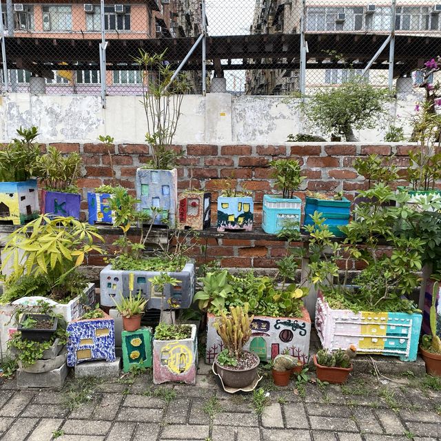 土瓜灣好去處 之 牛棚藝術村 🎨