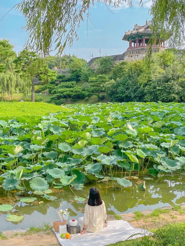 초록으로 가득 찬 여름의 방화수류정🍃