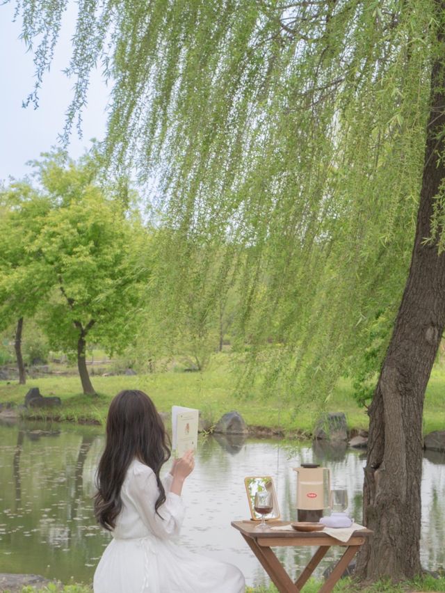 청라 연희자연마당에서 지베르니 느낄 수 있는 피크닉🧺🌿