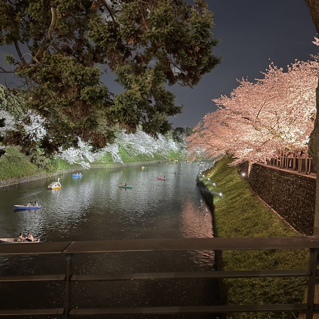 東京最美夜櫻之一🌸 – 千鳥之淵