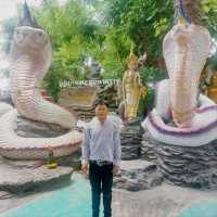 วัดป่าปากโดม