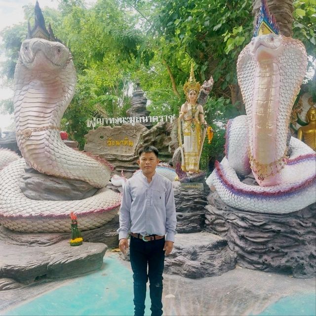 วัดป่าปากโดม