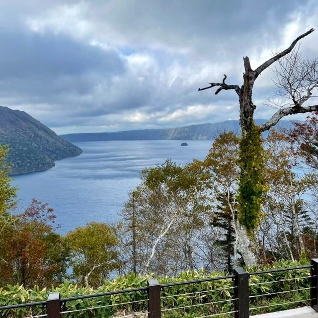 【北海道】クリオネがいっぱい！オホーツク流氷館