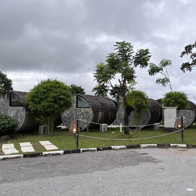 Enjoy the nature from room's wall