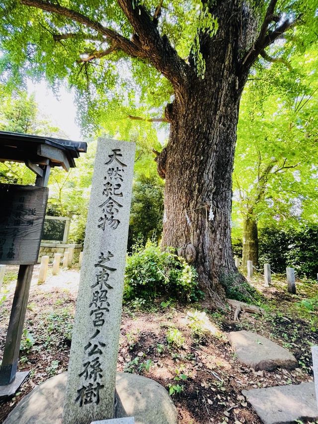 【東京都/芝東照宮】港区にある家康像が眠る神社