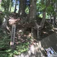 日本最美富士山景點，新倉山淺間公園
