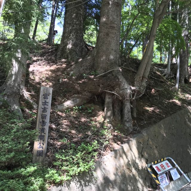 日本最美富士山景點，新倉山淺間公園