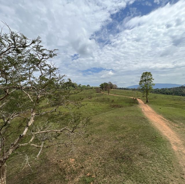 เที่ยวเขาใหญ่ ขึ้นหอดูสัตว์ และเดินศึกษาธรรมชาติ