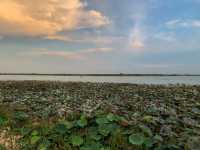 แลนด์มาร์คแห่งใหม่ของชาวพิจิตร | สวนสาธารณะบึงสีไฟ