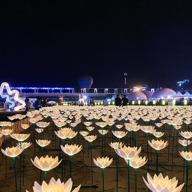 공주에서 즐기는 엄청 난 축제!