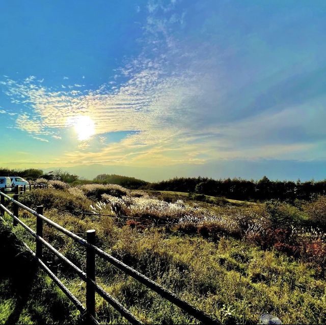 高ボッチ高原