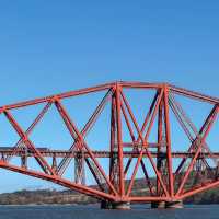 Inchcolm Island🏖️ 鳥語花香海島