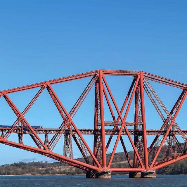 Inchcolm Island🏖️ 鳥語花香海島