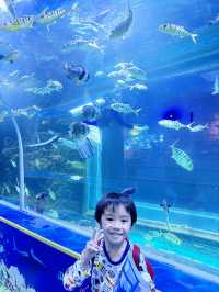 打卡必度海底隧道🐬🐟🐠 10,000尺超大型水族館❤️