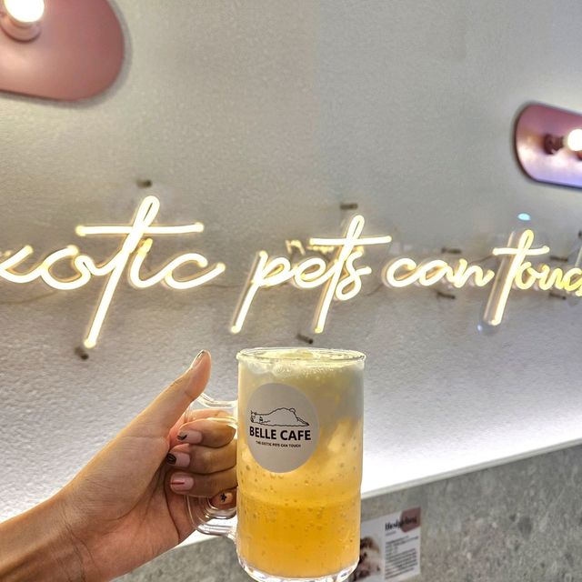Belle Cafe 🦫 @Central Sri Racha