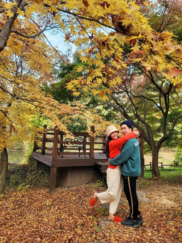 아직은 보내기 싫은 늦가을 즐기기🍁