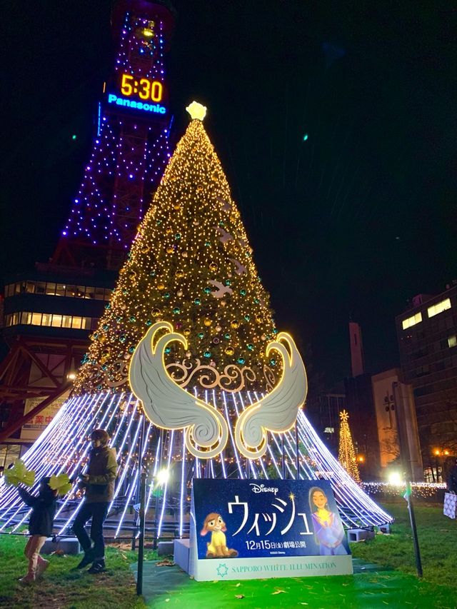 北海道　札幌観光　さっぽろテレビ塔のライトアップが綺麗だぞ！