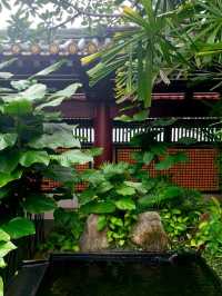 A Tranquil Escape at Buddha Tooth Relic Rooftop Garden