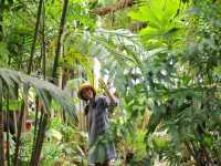 The Forest สวนป่าคาเฟ่ จ.อุตรดิตถ์