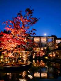 【ROKU京都】京都で最大の屋外温泉プール&紅葉が美しい日本庭園