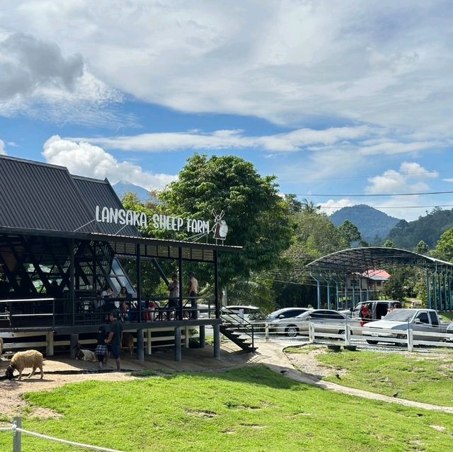 lansaka sheep farm