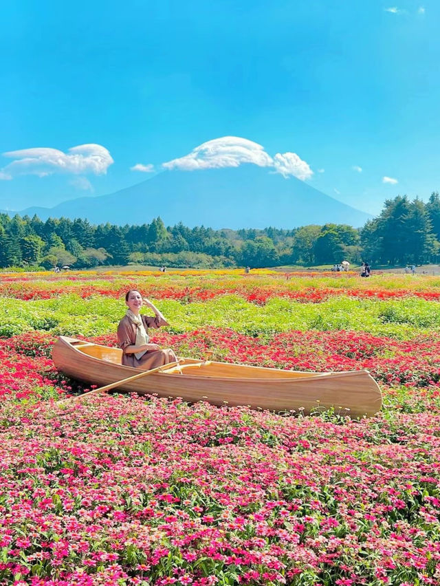 【絶景】まるで絵本の世界📖カラフルな秋の花々がかわいい虹の花まつり2023🌼