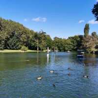 Zoo And Garden as one at Karlsruhe 