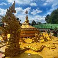 วัดป่ายาง ชุมพร